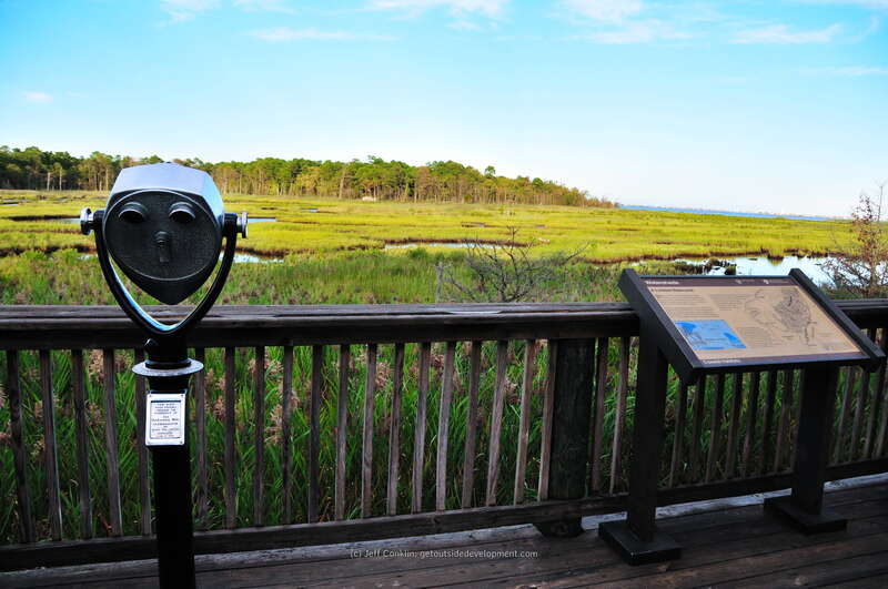 Cattus Island County Park