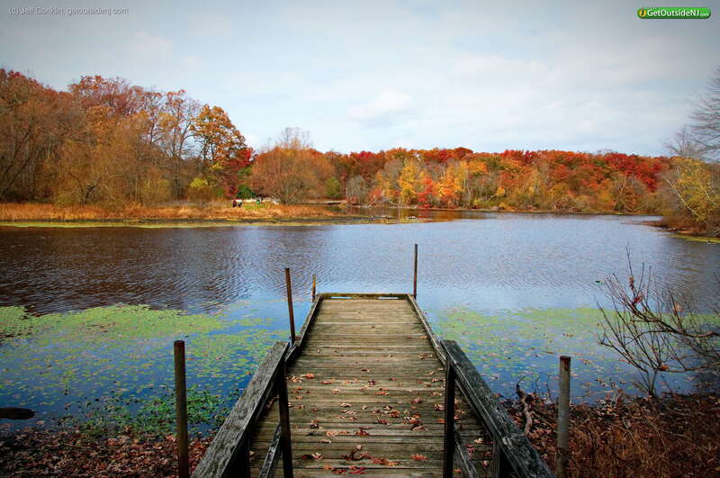Turkey Swamp Park
