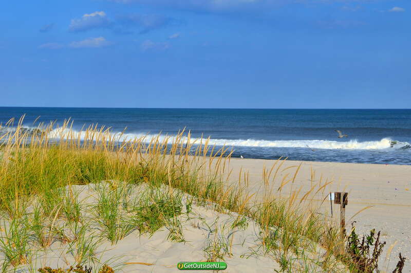 Island Beach State Park