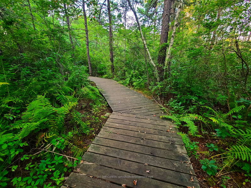 Shark River Park