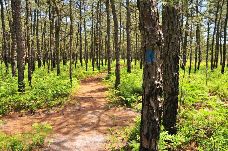 Jakes Branch County Park