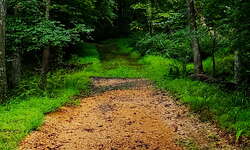 Outdoors / Nature