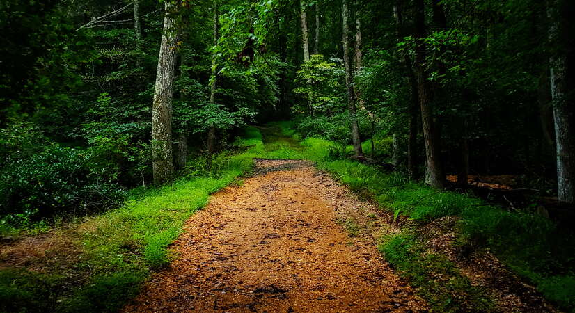 Outdoors / Nature
