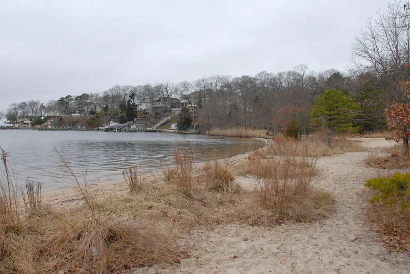 Brown's Woods Preserve