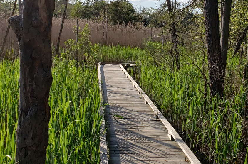Places to walk near Brick, NJ