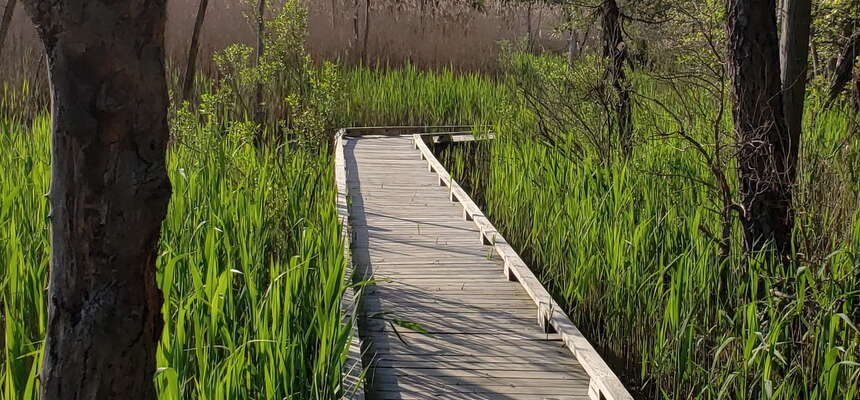 Places to walk near Brick, NJ
