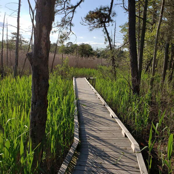 Beaver Dam Creek County Park