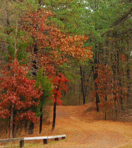 Winding River Park