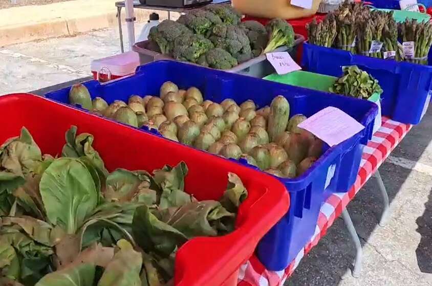 2025 Point Pleasant Beach FRESH Farmers & Makers Market