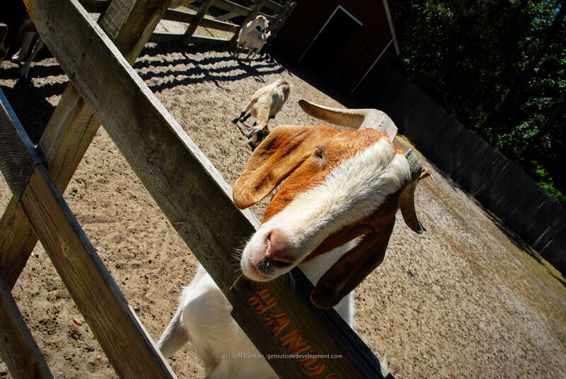 Popcorn Park Animal Refuge