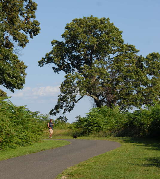 Dorbrook Recreation Area