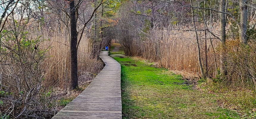 Here comes Spring in Beaver Dam Creek County Park