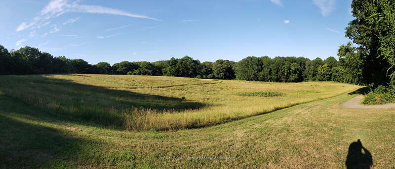 The Bowl Sledding Hill at Holmdel Park